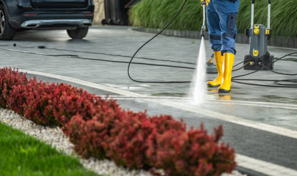 Best Pool Deck Cleaning in Lewiston, CA